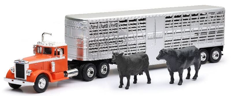 A black cow standing next to a silver truck.